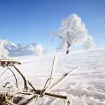 Dağ evi Steinerner Meerblick