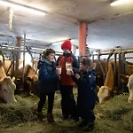 Steinerner Meerblick * Saalfelden