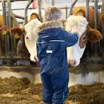Steinerner Meerblick Dağ evi