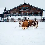 Dağ evi Steinerner Meerblick