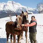 Steinerner Meerblick * Saalfelden