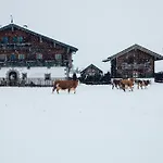 Steinerner Meerblick Dağ evi Saalfelden