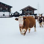 Steinerner Meerblick Dağ evi *