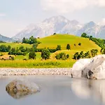 Steinerner Meerblick Dağ evi *