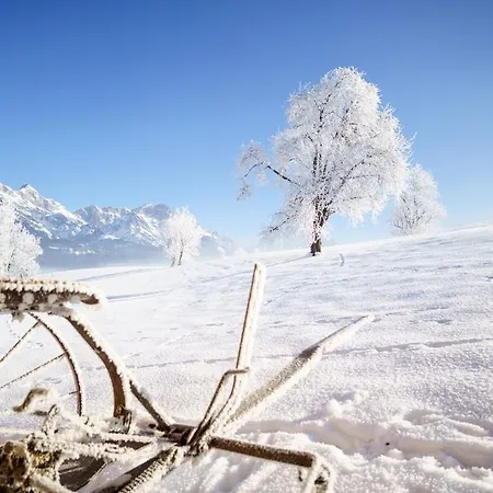 Horská chata Steinerner Meerblick