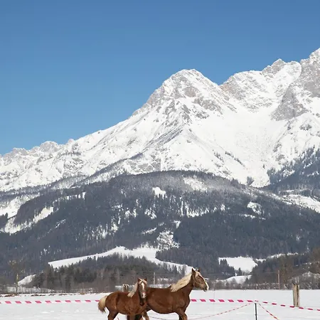 Steinerner Meerblick
