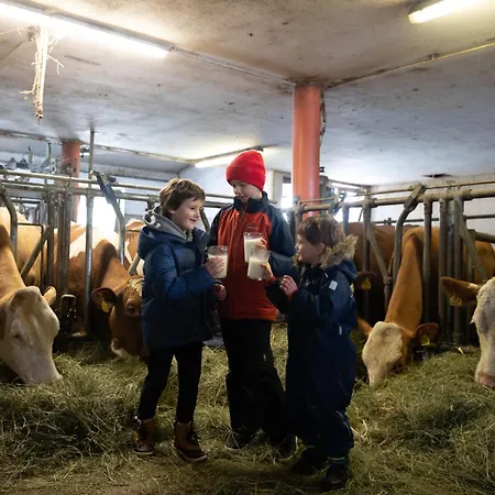 Steinerner Meerblick * ザールフェルデン・アム・シュタイナーネン・メアー