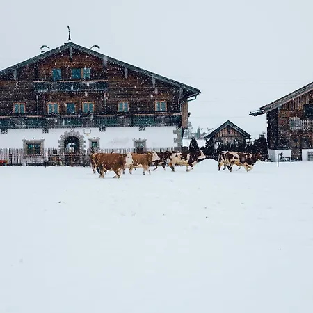 シャレー Steinerner Meerblick ザールフェルデン・アム・シュタイナーネン・メアー