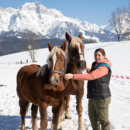 Steinerner Meerblick * Saalfelden