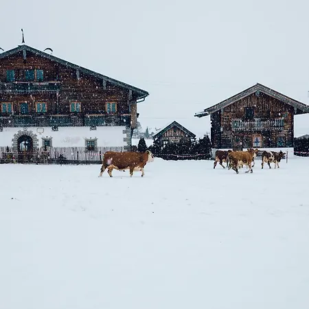 Steinerner Meerblick Alpehytte Saalfelden